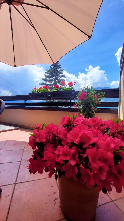 Nora S Home 4 - Panoramic Terrace & Bio Garden Merano Exterior foto