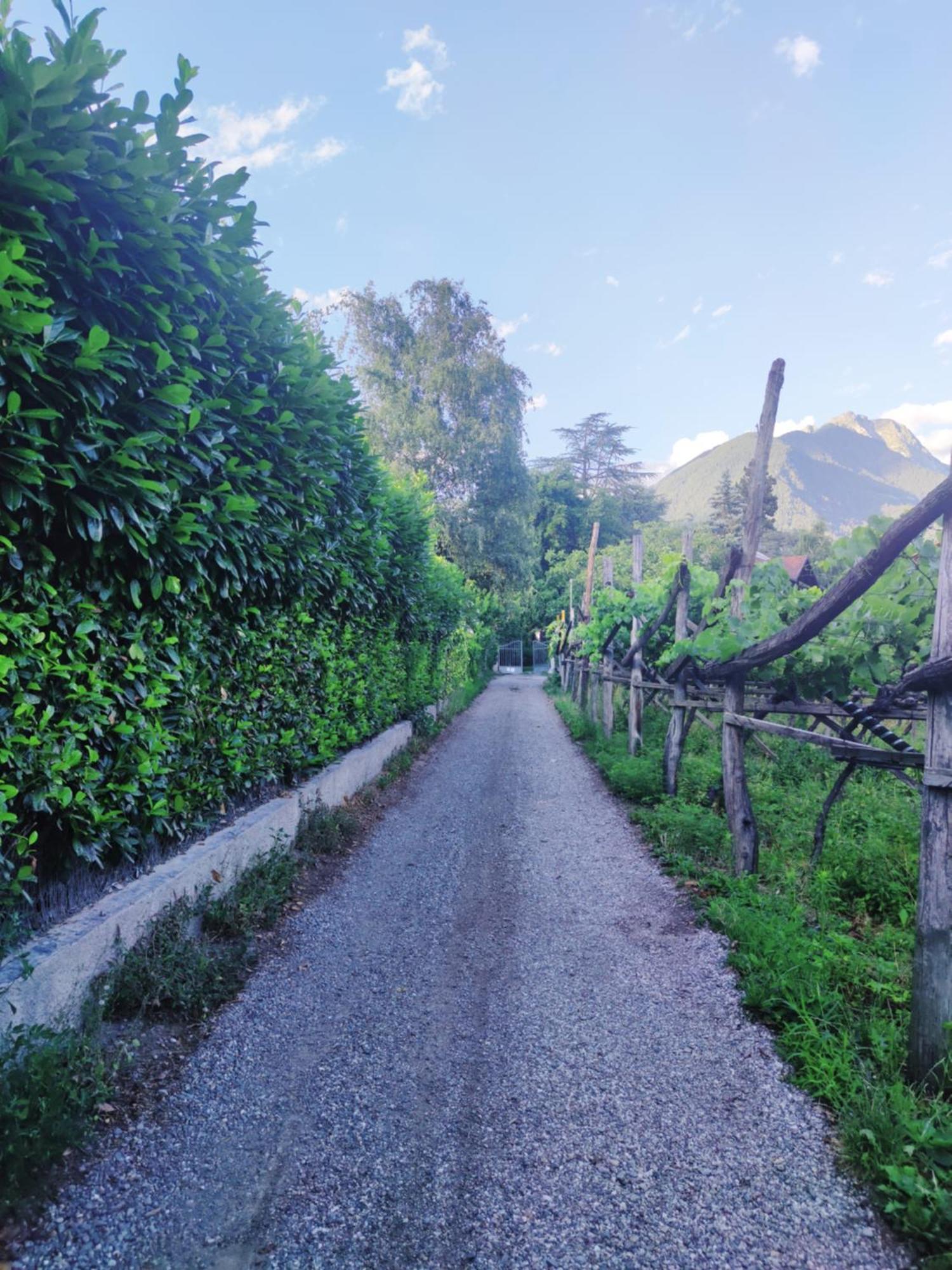 Nora S Home 4 - Panoramic Terrace & Bio Garden Merano Exterior foto